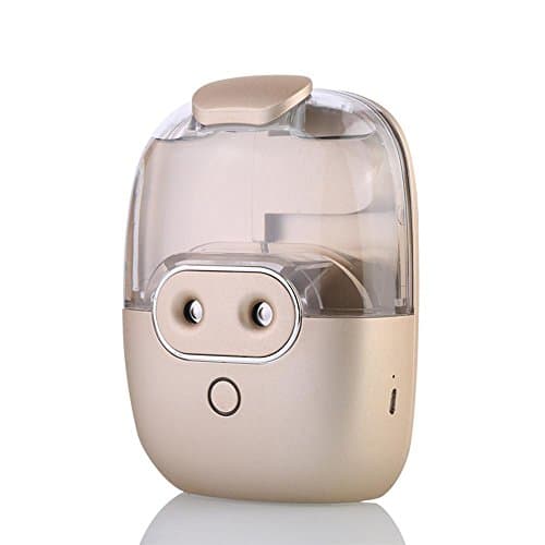 AOKARLIA Mini Facial Humidifier Sprayer Nano Water Meter Ironic Steamer Double Head Home Spa Hot Mist 10Min Opening Pores , Gold