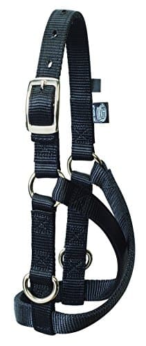 Weaver Leather Livestock Sheep and Goat Treadmill Halter, Black, Small