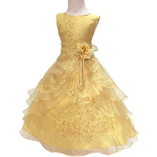 AmyStylish Little/Big Girls Embroidered Beaded Flower Girl Birthday Party Dress with Petticoat