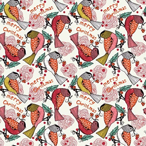 Christmas Birdies Photo Backdrop 5' x 5'