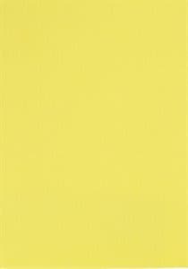 Papicolor A4 – Pack of 6 sheets 200g Colour – Lime