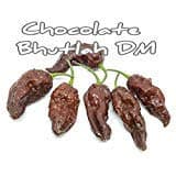 (25+) Chocolate Bhutlah DM Pepper Seeds