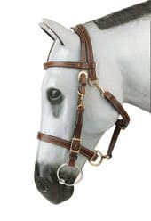 Kimberly Light Weight Halter Bridle Combo (Cob, Black)