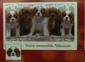 36 Puppy and Kitten Tattoo Valentine Cards