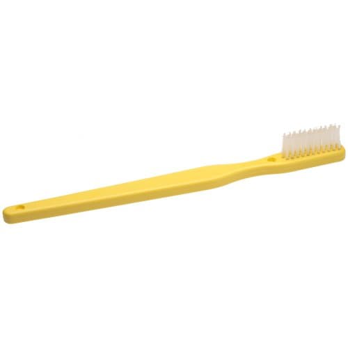 Oversized Demonstration Toothbrush