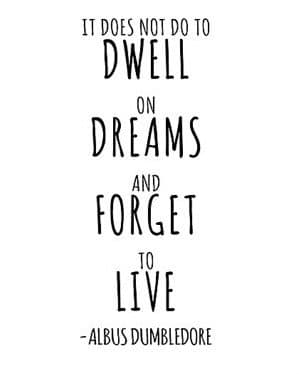 uksellingsuppliers Harry Potter Quote (It does not do to dwell on dreams. Albus Dumbledore) 25cm x 20cm. A4 Wall Art Decal Stickers Black Vinyl