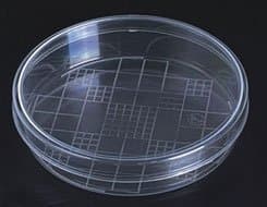 Walter Products, 100mm Plastic Petri Dish with Grid- Pack of 500