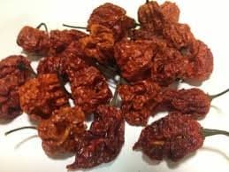 Trinidad Moruga Scorpion Dried Pods - One of The World's Hottest Chillies (20 x pods)
