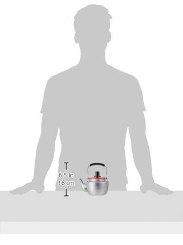 Maekawa Ginga Teapot with Stainless Steel Tea Tenso Tenso No. 7