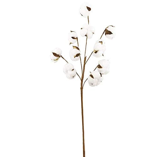 Memela Decoration,Naturally Dried Cotton Stems 10 Balls Farmhouse Artificial Flower Filler Floral Decor