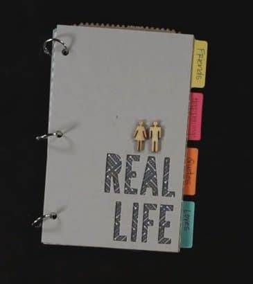 Stampin' Up! Paper Pumpkin Monthly Kit - December 2013 - Journal