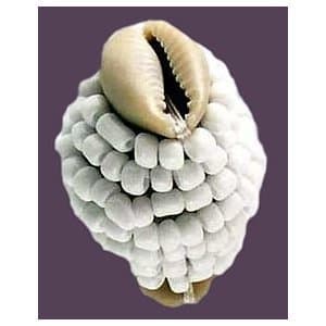 Powerful Santeria Beaded Makutos Macuto Amulets and Talismans Wicca Voodu Religion, Obatala