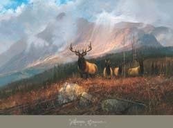 Bookcliffs Elk II by Michael Coleman. Best Quality Art Poster Print. size: 36.5 inches width by 27 inches height.