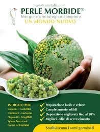 Perle Morbide FabFinchesUK 4kg Alternative to Germinated or Soak Seed for All Birds