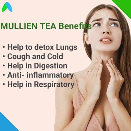 Himalayan Mullein Tea Lung Detox 50g - Lung Care, Detox, and Vitality | Natural Herbal Blend for Respiratory Wellness (50grams)