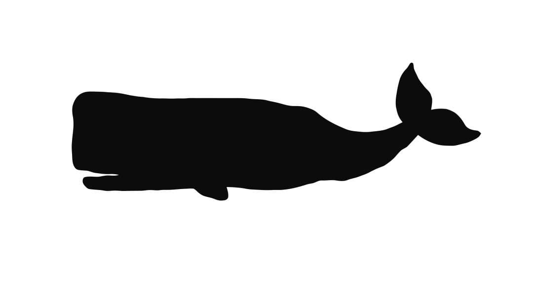 18x24 Whale Sperm Whale Stencil Made from 4 Ply Matboard