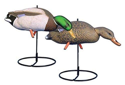 Higdon Magnum Full Body Mallard Feeder Duck Decoys - 6 Pack
