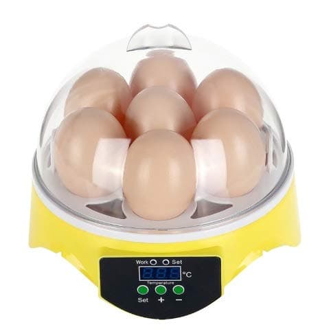 Egg Incubator Noeler Digital Automatic Incubators with Egg Turning,Chicken Duck Goose Quail Birds Fertile Eggs for Hatching (7 Egg Incubator)