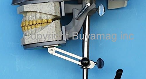 Dental X-Ray Manikin Intraoral Radiography Simulator Model Chair Bench Mount