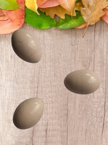 Kishore Collections® Wooden Eggs for Craft at Home, School Projects Crafts and Great Gifting Choice (5 Eggs)