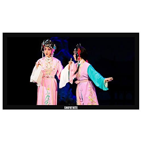 SNOWHITE Luxurious 150-Inch Digonal, 16:9 Aspect Ratio, Long Focus ALR Ambient Light Rejection 4K 3D Fixed Frame Screen (6 PCS Frame) SM150CFH-C(V)