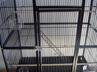 Bird Parrot Cage New Large PCFT32N 32Lx20Wx53H Cockatiel Conure Finch Parakeet Senegal Sugar Glider Chinchilla Ferret