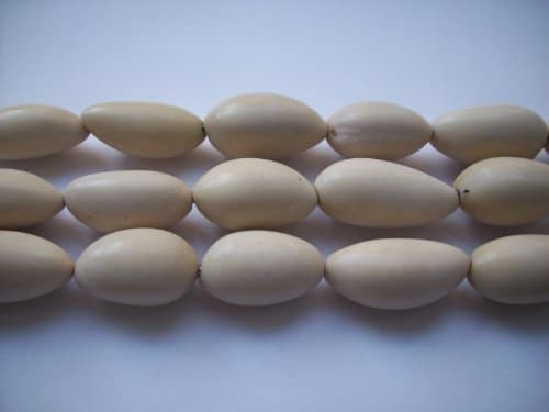 Tagua Nut Oval Beads White 20-25x10-15mm Pkg of 12