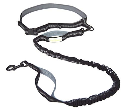 Heavy Duty Dog Leash-5FT Training Bungee Leash-High Reflective Rock Climbing Rope, Pet Leashes Leash for Medium Large Dogs