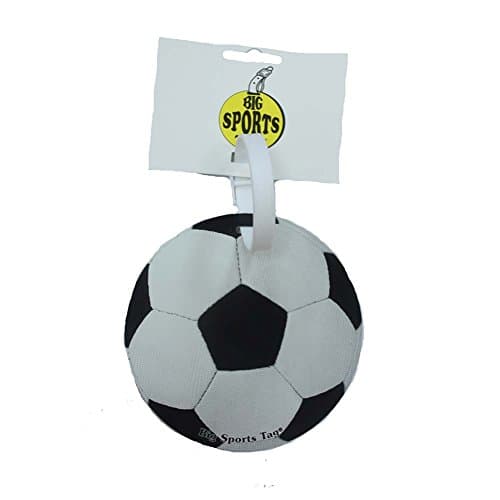 Big Tag Soccer ID Tag