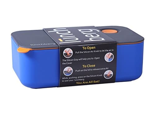 Compact Bento Box by Lunchberg - Leak Proof Lunch Container with Two Compartments, Blue