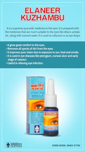 KANDAMKULATHY Elaneer Kuzhambu Liquid (5Ml X 6 Nos)