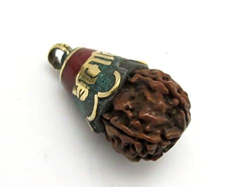 1 Pendant - Tibetan Om mantra Nepal natural Rudraksha seed capped drop pendant - PM269