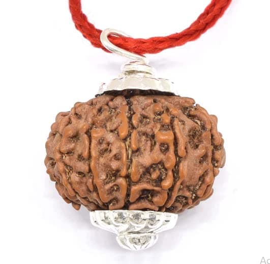 GemSapphire12 Mukhi Rudraksha 12 मुखी नेपाली रुद्राक्ष Twelve Face Rudraksh 12 Mukhi Rudraksha Nepal Pure Pendant Barah Mukhi Rudraksha Original Lab Tested बारह मुखी रुद्राक्ष Lord Surya by GemSapphire