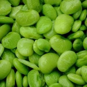 50 FORDHOOK 242 LIMA BEAN Bush Bean Phaseolus Lunatus Vegetable Seeds