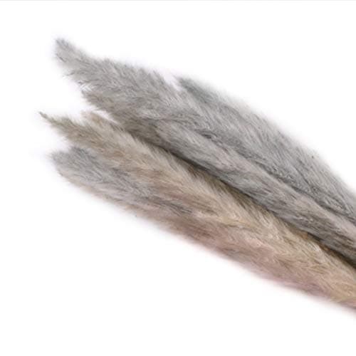 Luxurat Feather Small Pampas Grass Bunch, 15 Pcs Dried Small Pampas Grass Phragmites Communis Decoration for Home Hotel Wedding