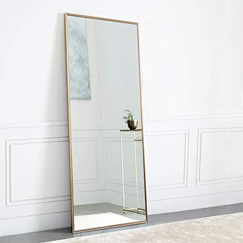 NeuType Full Length Mirror Standing Hanging or Leaning Against Wall,Large Rectangle Bedroom Mirror Floor Mirror Dressing Mirror Wall-Mounted Mirror,Black Polystyrene Frame with Veins Pattern,65"x22"