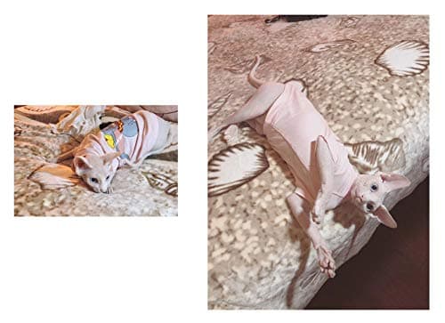 Khemn 丨LUXURY FABRICS丨HANDMADE丨100% Cotton Pink Dumbo Print Cat Summer Shirt Cat Clothes (L)