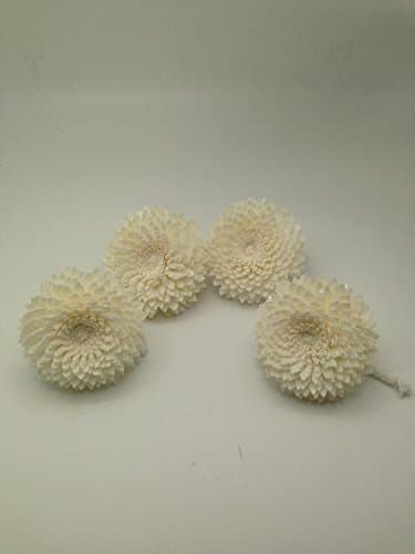 Diffuser Flowers Solar wood 7 cm Dia. with cotton rope made from natural.