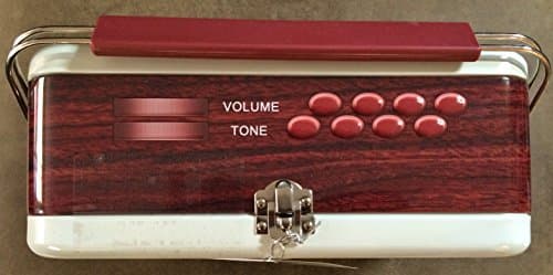 Retro Radio Collectable Cookie Tin with Handle and filled with 1 lb 12.2 oz of Chocolate Fudge Mint Cookies (Brown/Ivory) by Premium Select