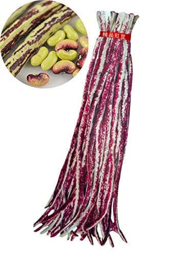 Long Bean Seeds 10g Snake/Yard-Long Asparagus Bean Red Noodle Pole Bean Garden Vegetable Organic Green Fresh Chinese Seeds for Planting Outside Door (Long Bean Seeds(Mix))