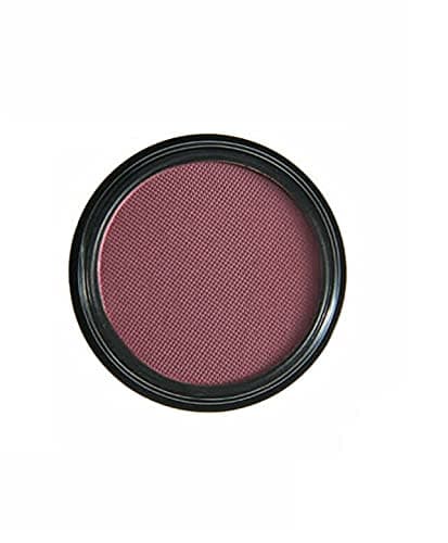 PhoeraAQUAPURITY Waterproof Long Lasting Matte Eyeshadow Palette in 12 Pigment Color Face Powder Eye Shadow Cosmetic Cream Makeup Cosmetic (205 Friskie)