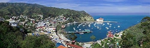 "Classic Catalina by Sean Davey Print