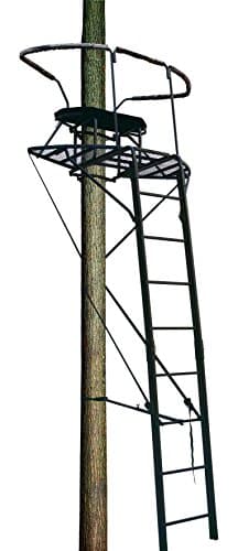 Big Dog BDL-3000 Stadium Series Dual