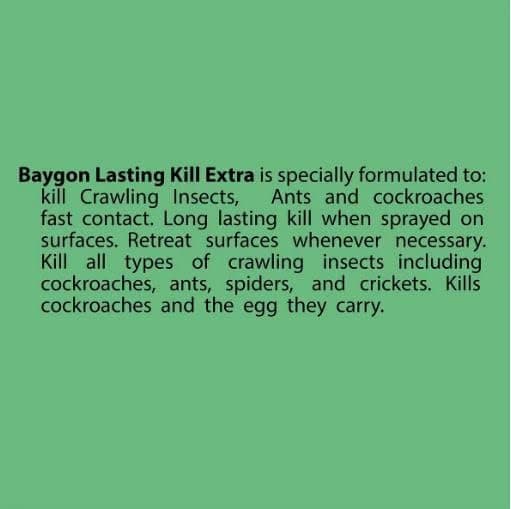 Baygon Indoor Insect & Pest Control - CIK 300ml