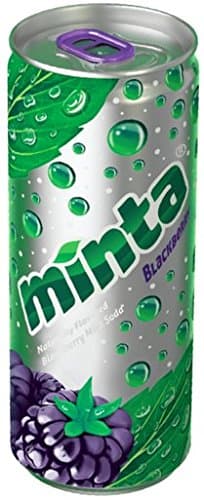 Minta Naturally Flavored Sparkling Mint Beverage, Blackberry, 10 Fluid Ounce (24 Count)