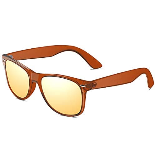 Polarized Sunglasses for Men Retro - FEIDU Polarized Retro Sunglasses for Men FD2149 (Transparent-glod)
