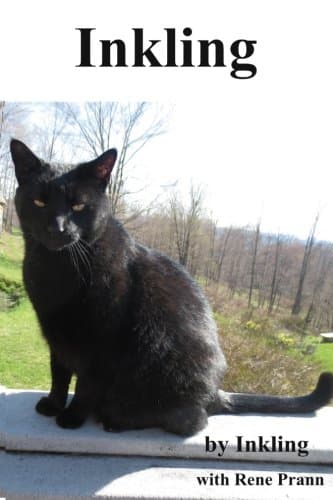 Inkling Paperback – July 25, 2015