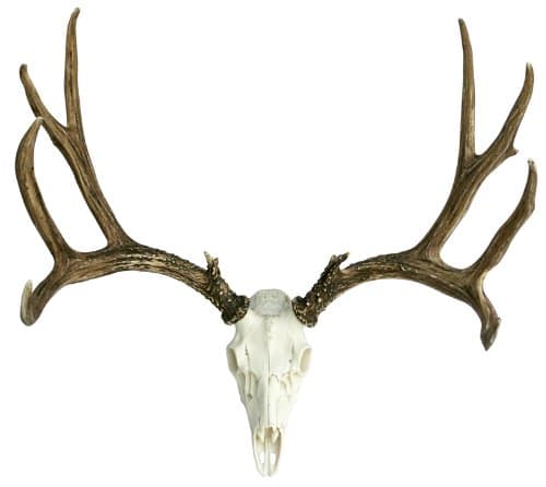 Faux Life Size European Mule Deer Antlers by Muskoka Lifestyle Products MUS202