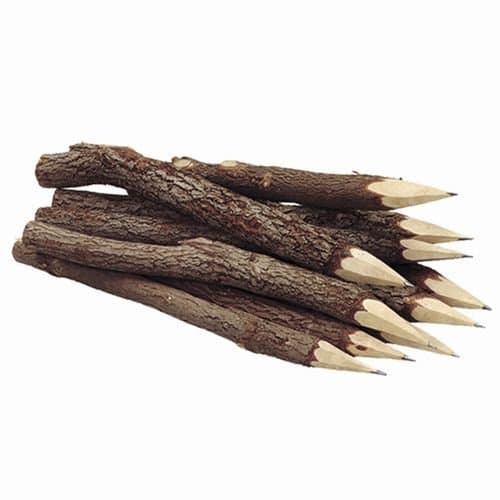 Twig-uums Whimsical 7 Inch Twig Pencils PK of 12