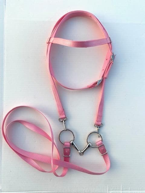 Miniature Horse/Small Pony Nylon Complete Bridle with Free BIT (Snaffle Style Varies) - Pink
